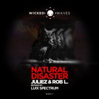 Artwork for Natural Disaster by Juliez