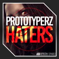 Artwork for Haters by Prototyperz