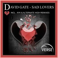 Artwork for Sad Lovers by David GATE