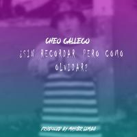 Artwork for ¿Sin recordar, pero cómo olvidar? by Cheo Gallego