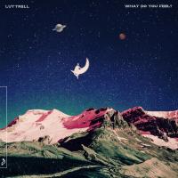 Artwork for What Do You Feel? by Luttrell