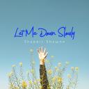 Artwork for Let Me Down Slowly