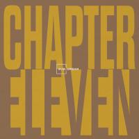 Artwork for Chapter Eleven by Various Artists