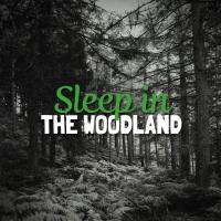 Artwork for Sleep in the Woodland by Nature Sounds For Sleep and Relaxation