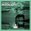Artwork for Moon Rays (Original Mix)