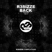 Artwork for R3sizze Back Catalog, Vol. 3 by Various Artists