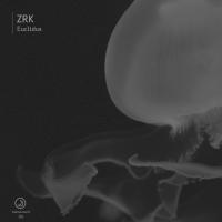 Artwork for Euclidus by ZRK