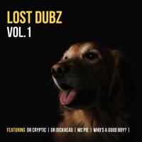 Artwork for Lost Dubz, Vol. 1 by Dr Cryptic