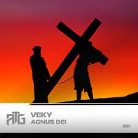 Artwork for Agnus Dei (Instrumental) by VEKY