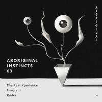 Artwork for Aboriginal Instincts 03 by The Real Xperience