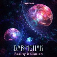 Artwork for Reality Is Illusion by Barmohak