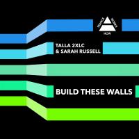 Artwork for Build These Walls by Talla 2XLC