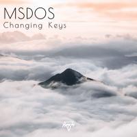 Artwork for Changing Keys by Msdos