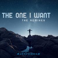 Artwork for The One I Want (The Remixes) by Massivedrum