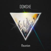 Artwork for Reunion Album by Domshe