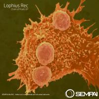 Artwork for Chain of Fools EP by Lophius Rec