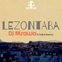 Artwork for Lezontaba by DJ Msewa