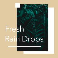 Artwork for Fresh Rain Drops by Rain Sounds