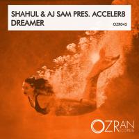 Artwork for Dreamer by Acceler8