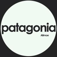 Artwork for Patagonia by Allmoe