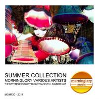 Artwork for Summer Collection by Various Artists