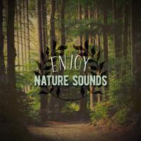 Artwork for Enjoy Nature Sounds by Nature Sounds Nature Music