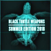 Artwork for Black Turtle Weapons Summer Edition 2018 Vol.1 by Lujan Fernandez