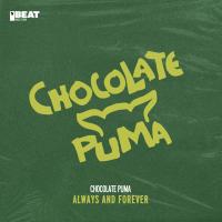Artwork for Always And Forever by Chocolate Puma