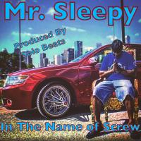 Artwork for In The Name of Screw by Mr. Sleepy