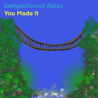 Artwork for You Made It by Samplehound