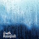 Artwork for Insipid Rain 