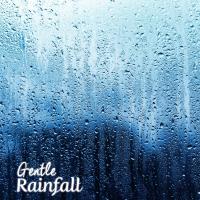 Artwork for Gentle Rainfall by Rainfall