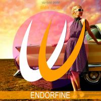 Artwork for Endorfine by Alex Spite