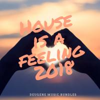 Artwork for House Is A Feeling 2018 by Various Artists