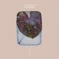 Artwork for Colour by Le Youth