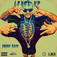 Artwork for Level Up by Young Sagg