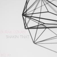 Artwork for Shakin That by Burak Ozkan