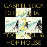 Artwork for DJ Essential Tools, Vol. 16: Hop House 2 by Gabriel Slick