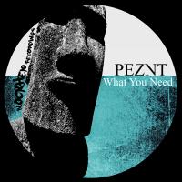 Artwork for What You Need by PEZNT