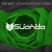 Artwork for The Best Of Suanda Voice 2019 by Various Artists