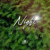 Artwork for Night Dream by Relaxing Music Therapy