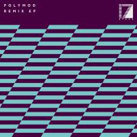 Artwork for Remix EP by Polymod