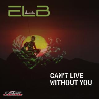 Artwork for Can't Live Without You (Dance Mix)