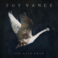 Artwork for The Wild Swan by Foy Vance