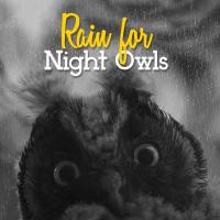 Artwork for Rain for Night Owls by Rain