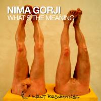 Artwork for What's the Meaning by NIMA GORJI
