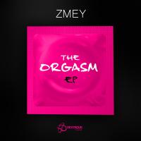 Artwork for The Orgasm by Змей