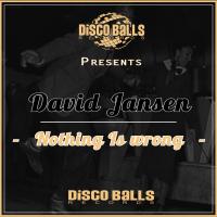 Artwork for Nothing Is Wrong by David Jansen