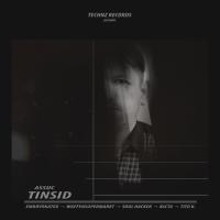 Artwork for Tinsid by Assuc