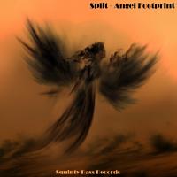 Artwork for Angel Footprint by Split